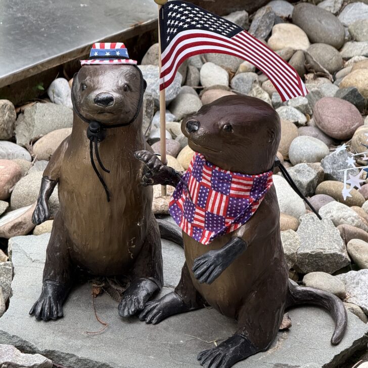 Two otter statues on rocks—one in a patriotic hat, the other with a USA flag-themed bandana and holding a small American flag—make for a fun photo spot and one of the unique things to do in Fredericksburg with kids.