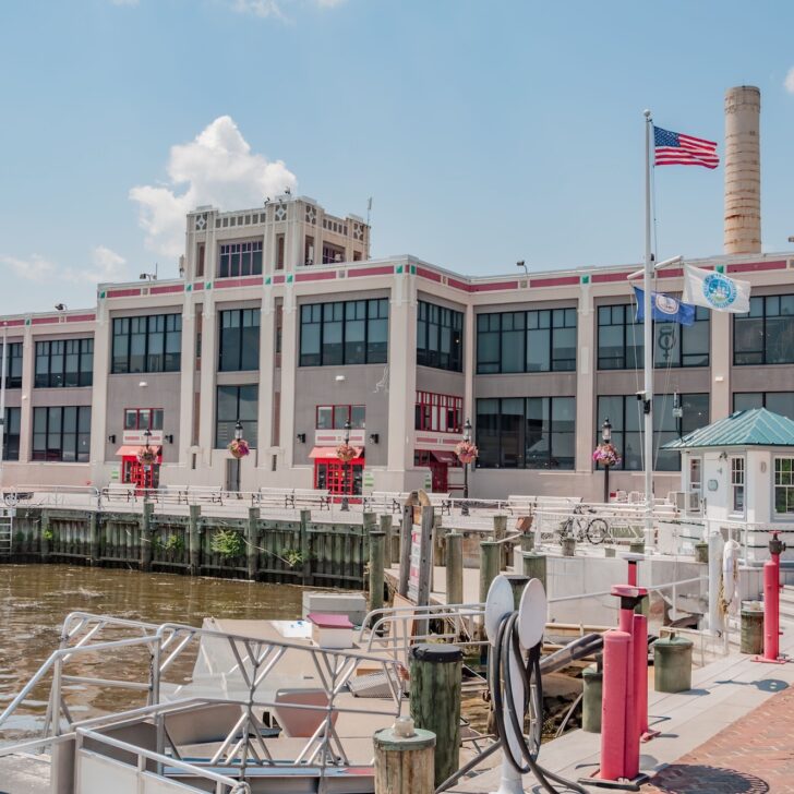 A waterfront building in Alexandria with American and state flags, docks, and boats in the foreground under a clear sky.