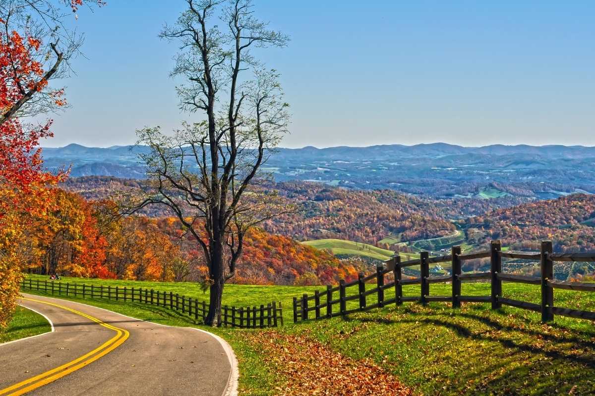 winding road traveling by fence with fall colors