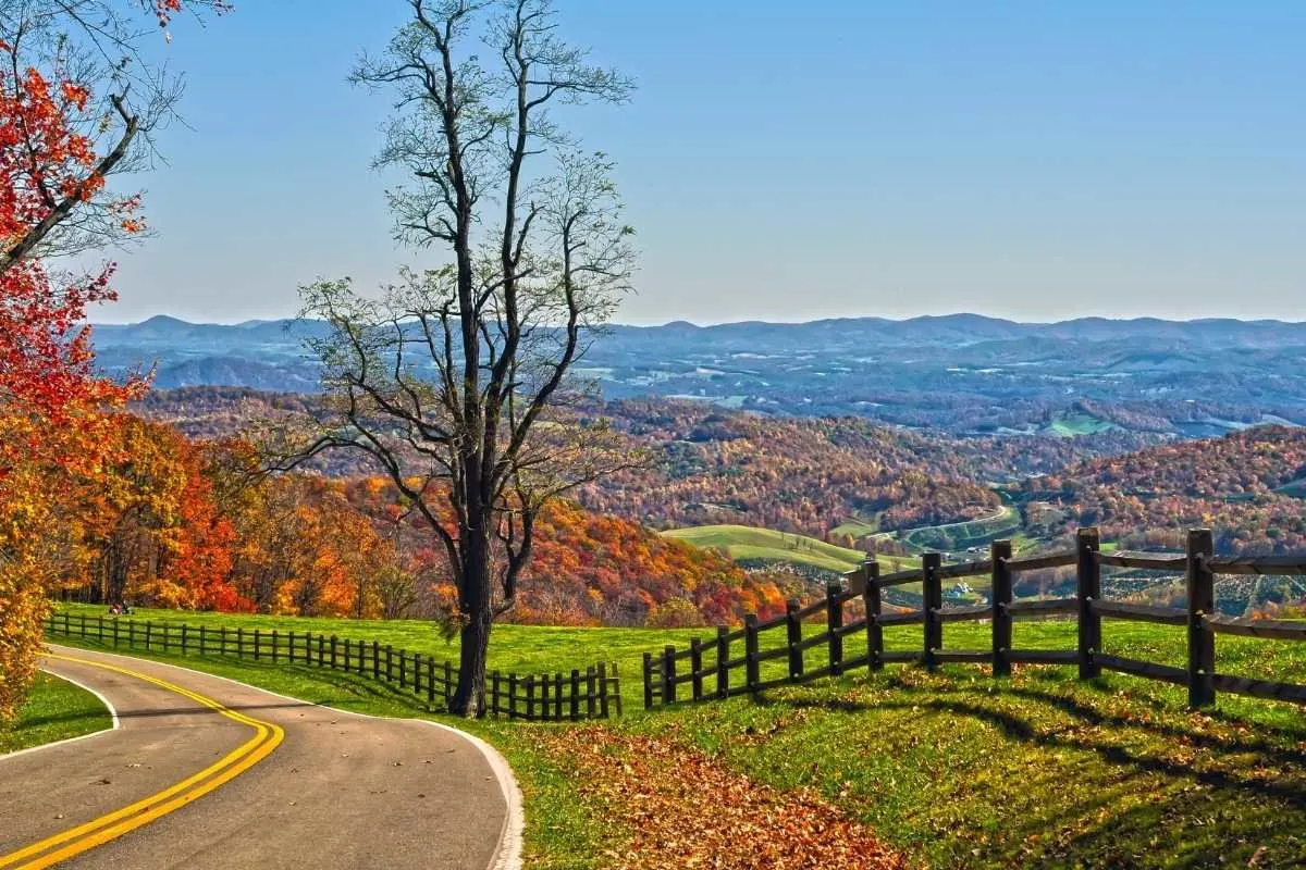 winding road traveling by fence with fall colors