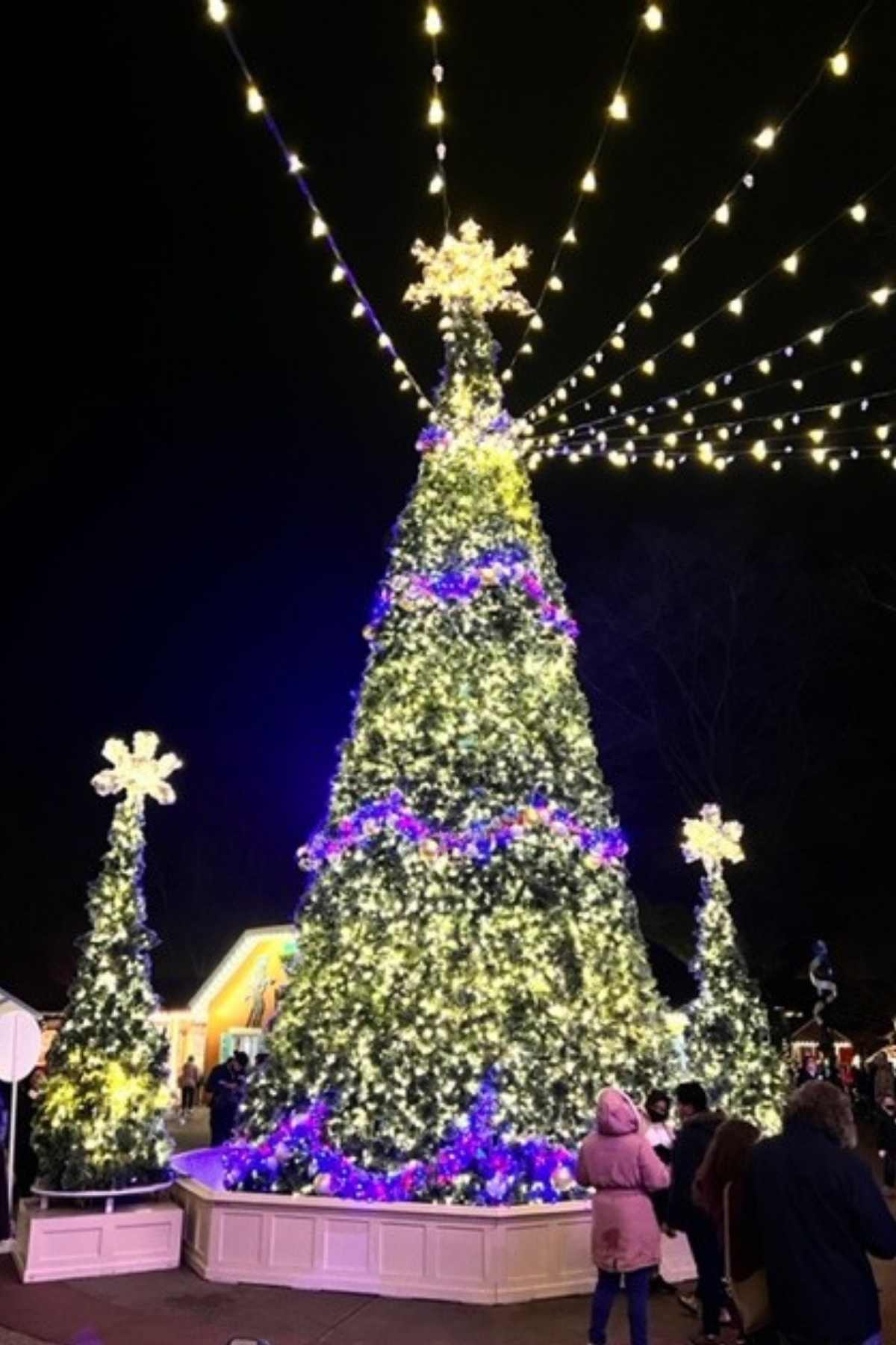 large outdoor christmas tree with blue and white lights