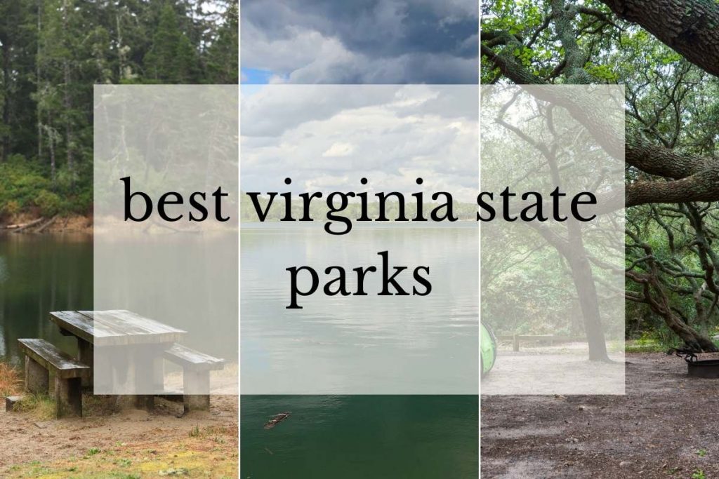 17 Absolutely Beautiful Virginia State Parks You Must Visit