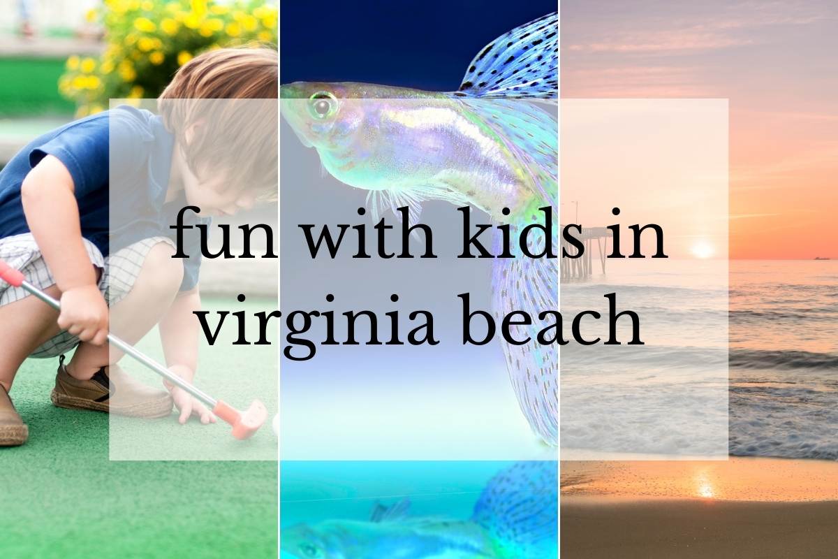 kid playing mini golf, aquarium, and virginia beach pier at sunrise