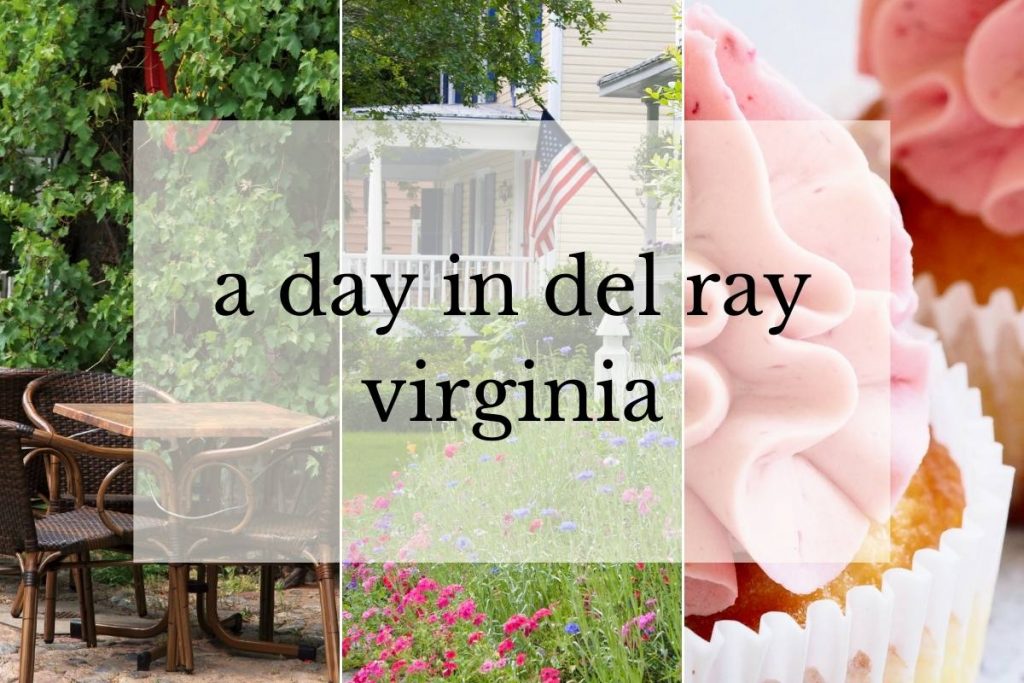 MustDo Dining + Activities in Del Ray A Northern Virginia Hidden Gem