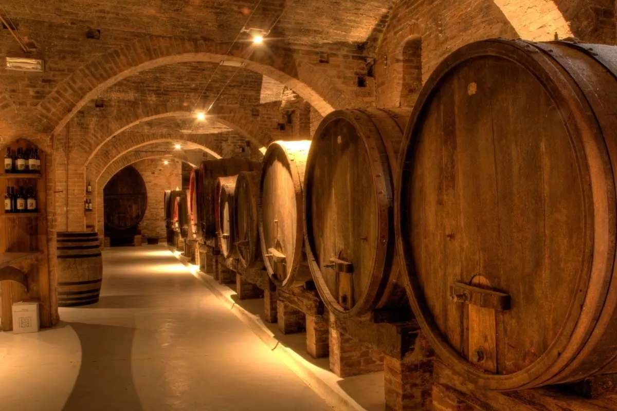 large wooden wine barrels in cellar