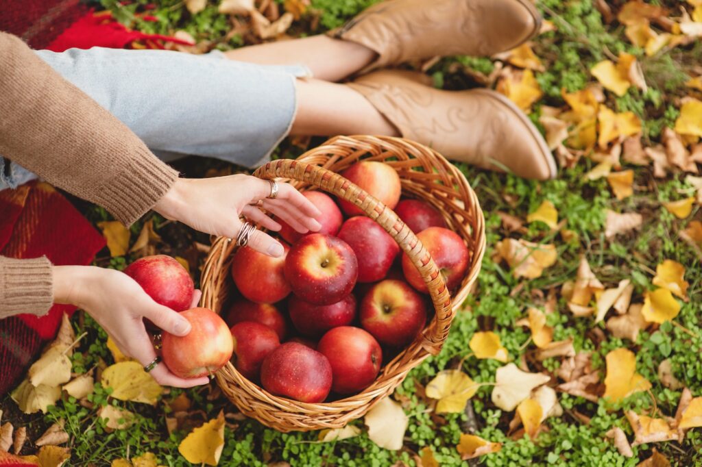 Person sitting on grass with autumn leaves, holding a basket filled with red apples and picking up one apple, wearing boots and jeans.