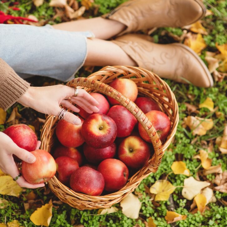 Person sitting on grass with autumn leaves, holding a basket filled with red apples and picking up one apple, wearing boots and jeans.