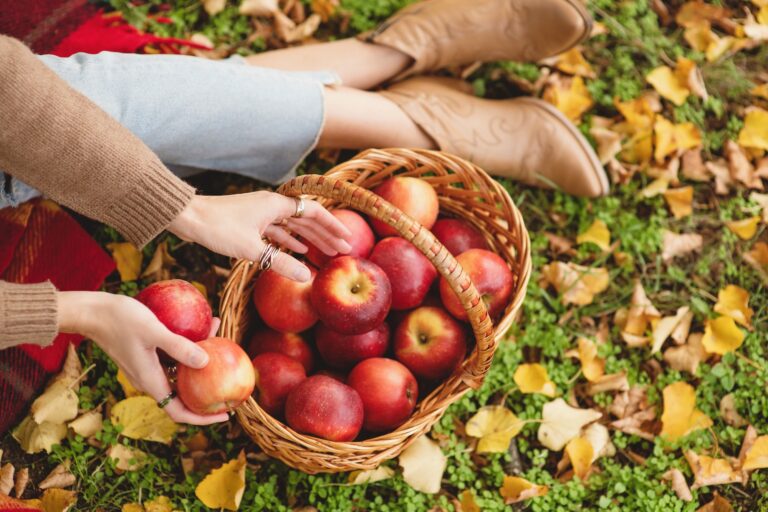 Person sitting on grass with autumn leaves, holding a basket filled with red apples and picking up one apple, wearing boots and jeans.