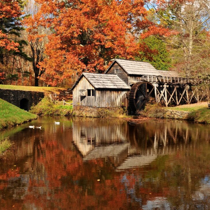 Historic wooden watermill with a large waterwheel sits by a calm pond, surrounded by autumn trees with orange and red leaves; a few ducks swim nearby.