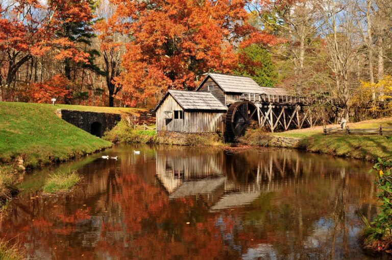 Historic wooden watermill with a large waterwheel sits by a calm pond, surrounded by autumn trees with orange and red leaves; a few ducks swim nearby.