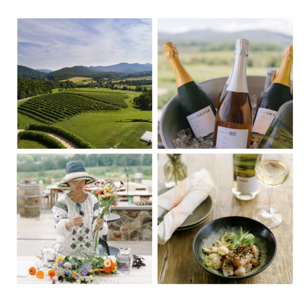 Four images show a vineyard landscape at one of the renowned wineries near Charlottesville, bottles of sparkling wine, a person arranging flowers outdoors, and a dish of gourmet food paired with a glass of white wine.
