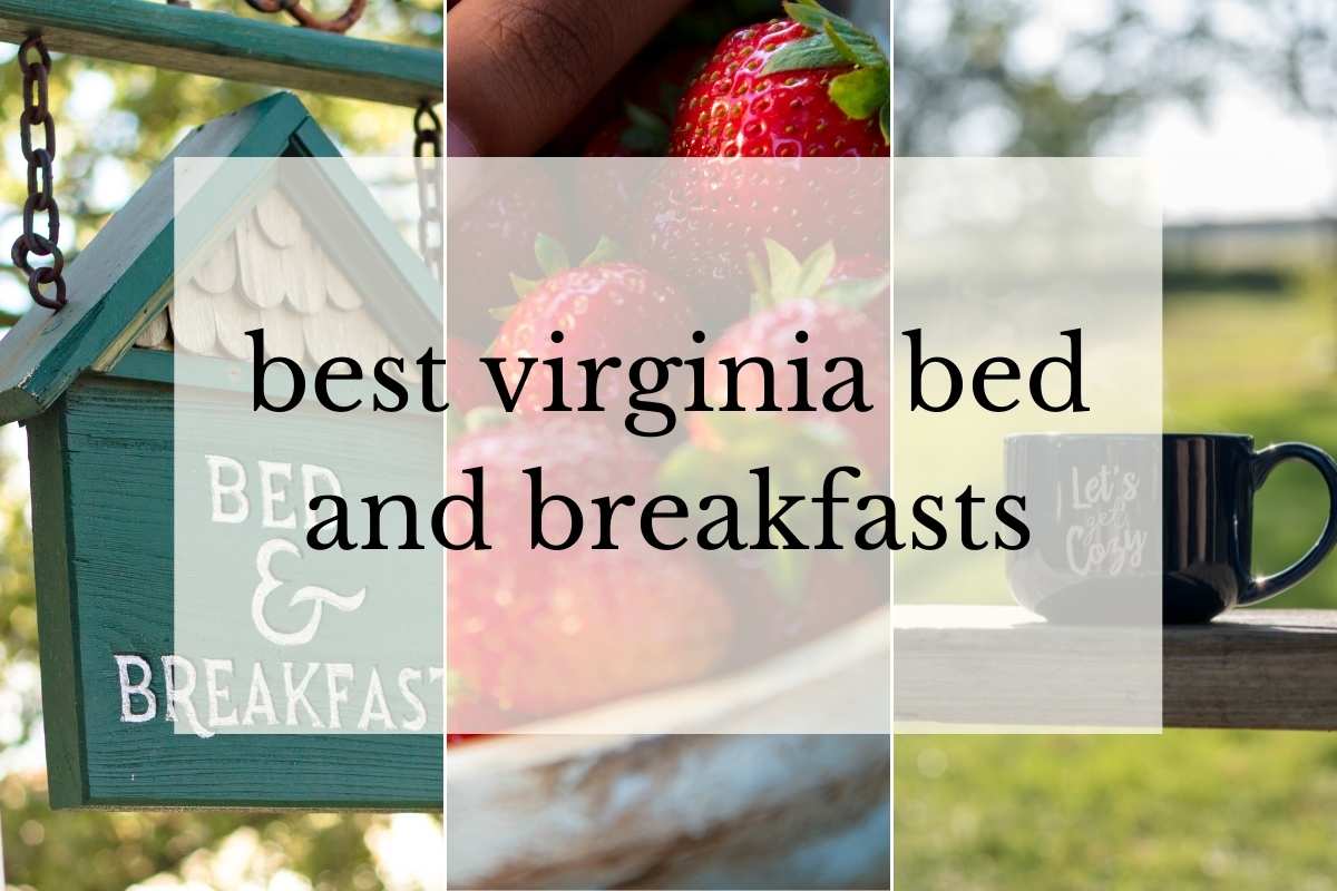 image of b&b sign, strawberries, and coffee on porch