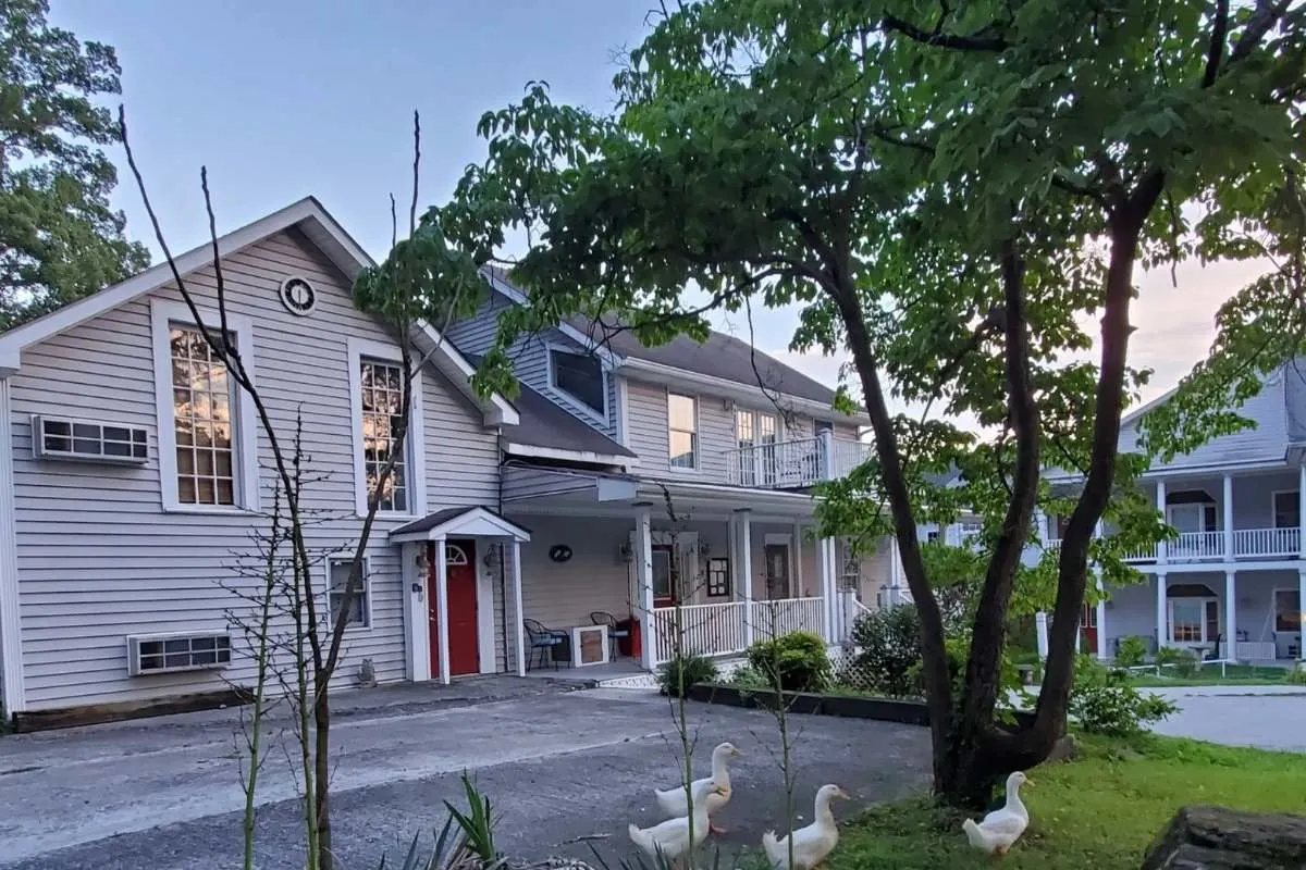 large gray house with ducks in front