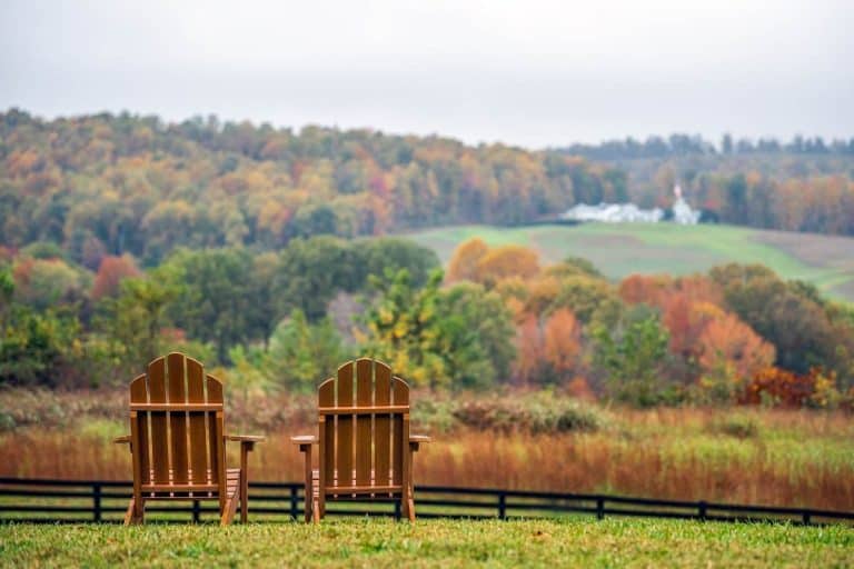 The 10 Best Places To Live In Virginia Top Picks to Live, Work, and