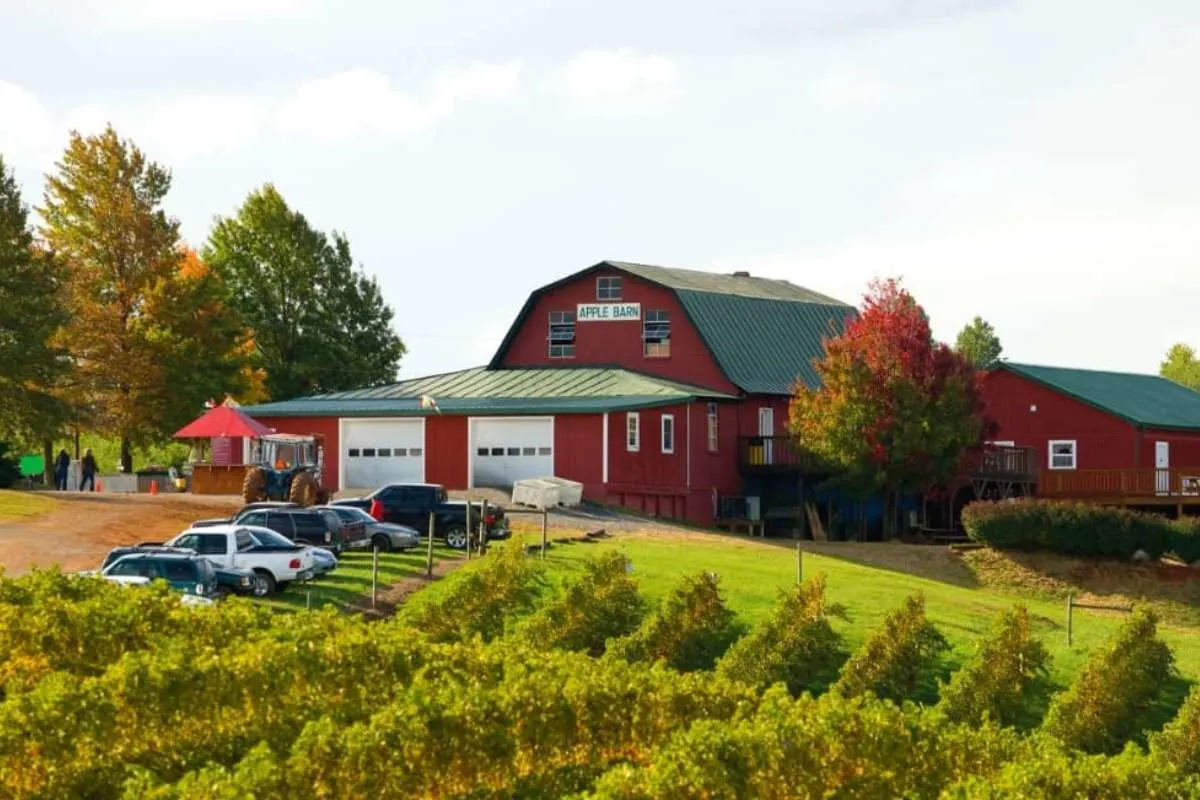 aerial view of red barn with green room surrounded by dwarf apple trees