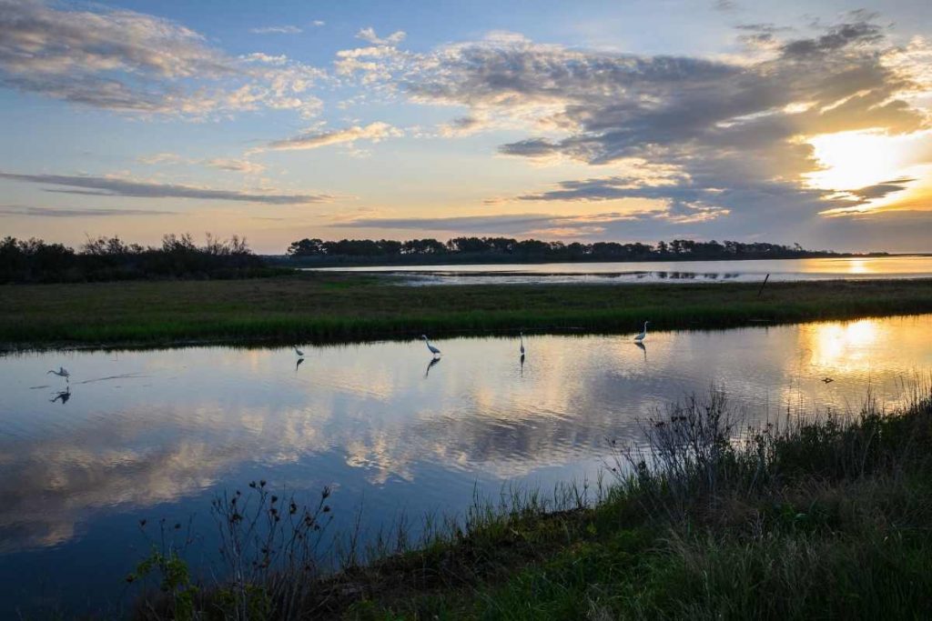 10 Stunningly Beautiful Virginia Beaches + Tips for Picking the Right One