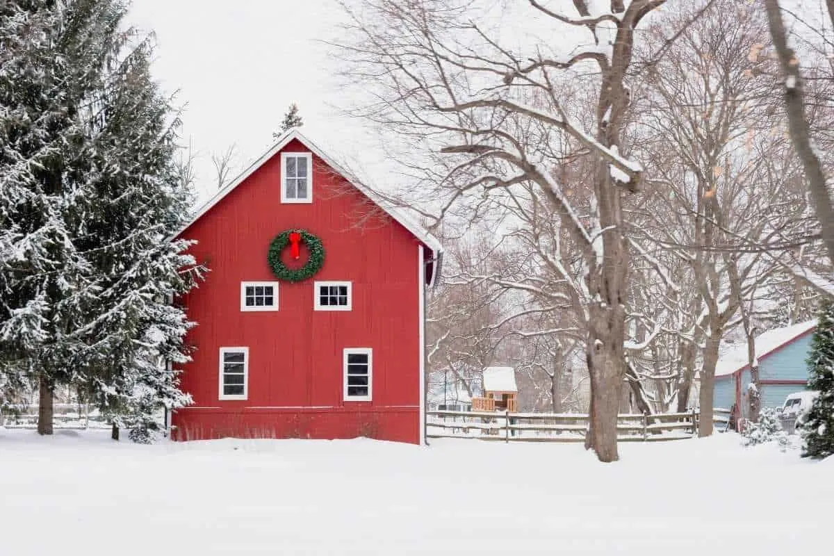 red barn in snow with christmas wreath
