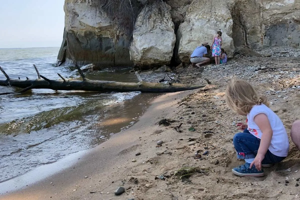 little girl on beach looking for shells