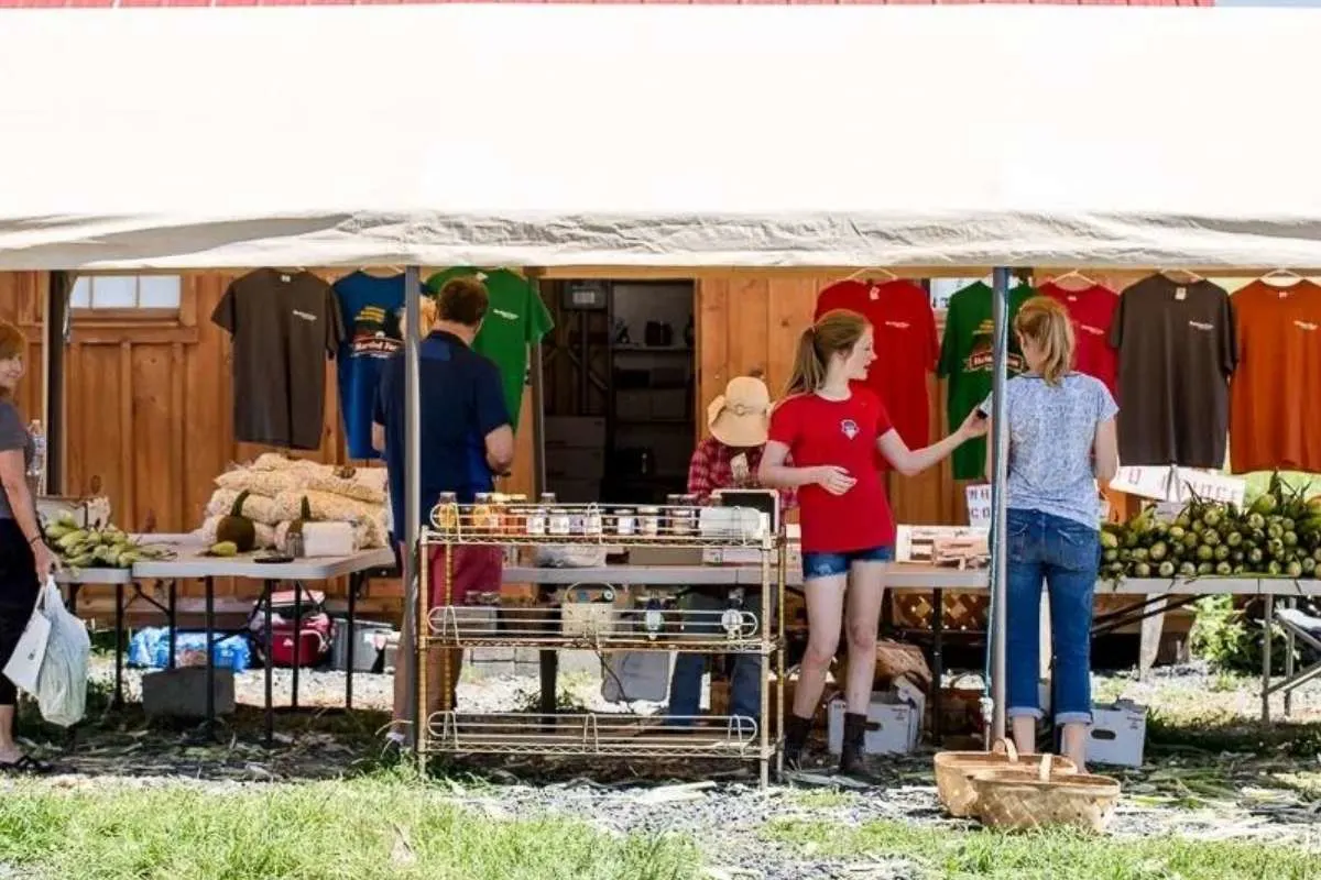 outdoor farm stand selling produce and jam