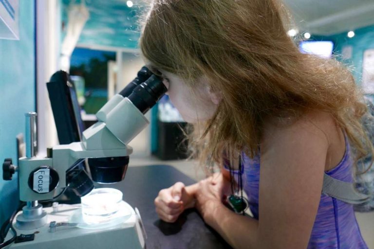A young girl closely examines a specimen through a microscope in a science lab setting.