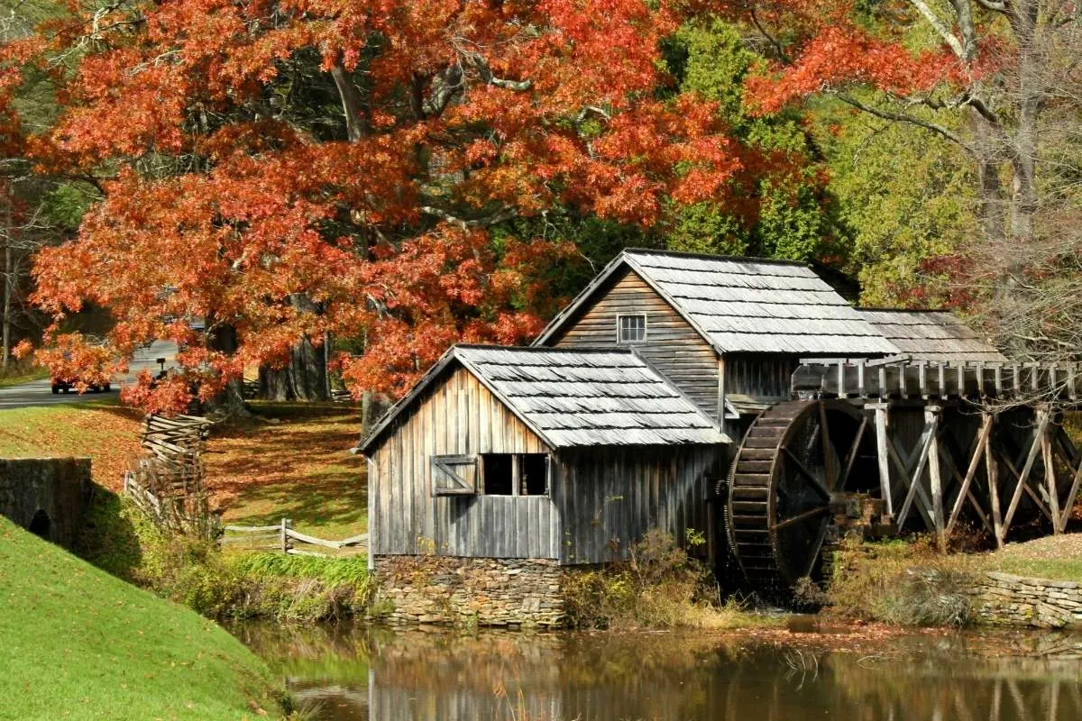 old wooden mill on river surrounded by orange fall trees