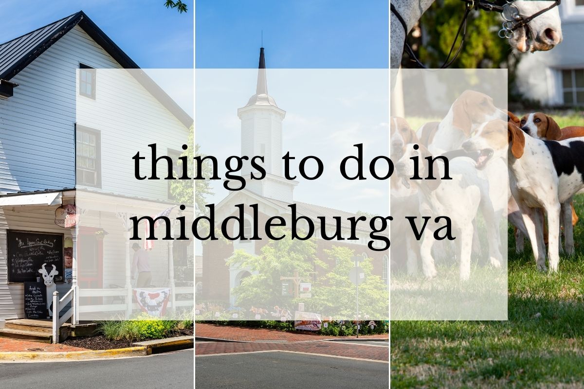 grid of 3 images of horse country and church