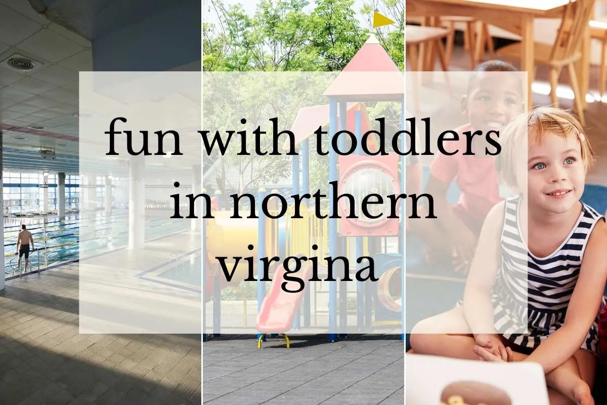 grid of images of indoor pool, outdoor playground, and children listening to stories