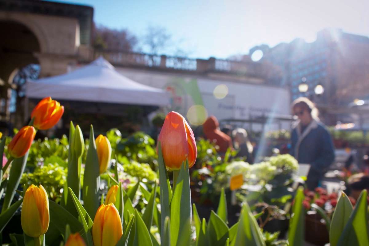 flowers and baked goods for sale at farmers market