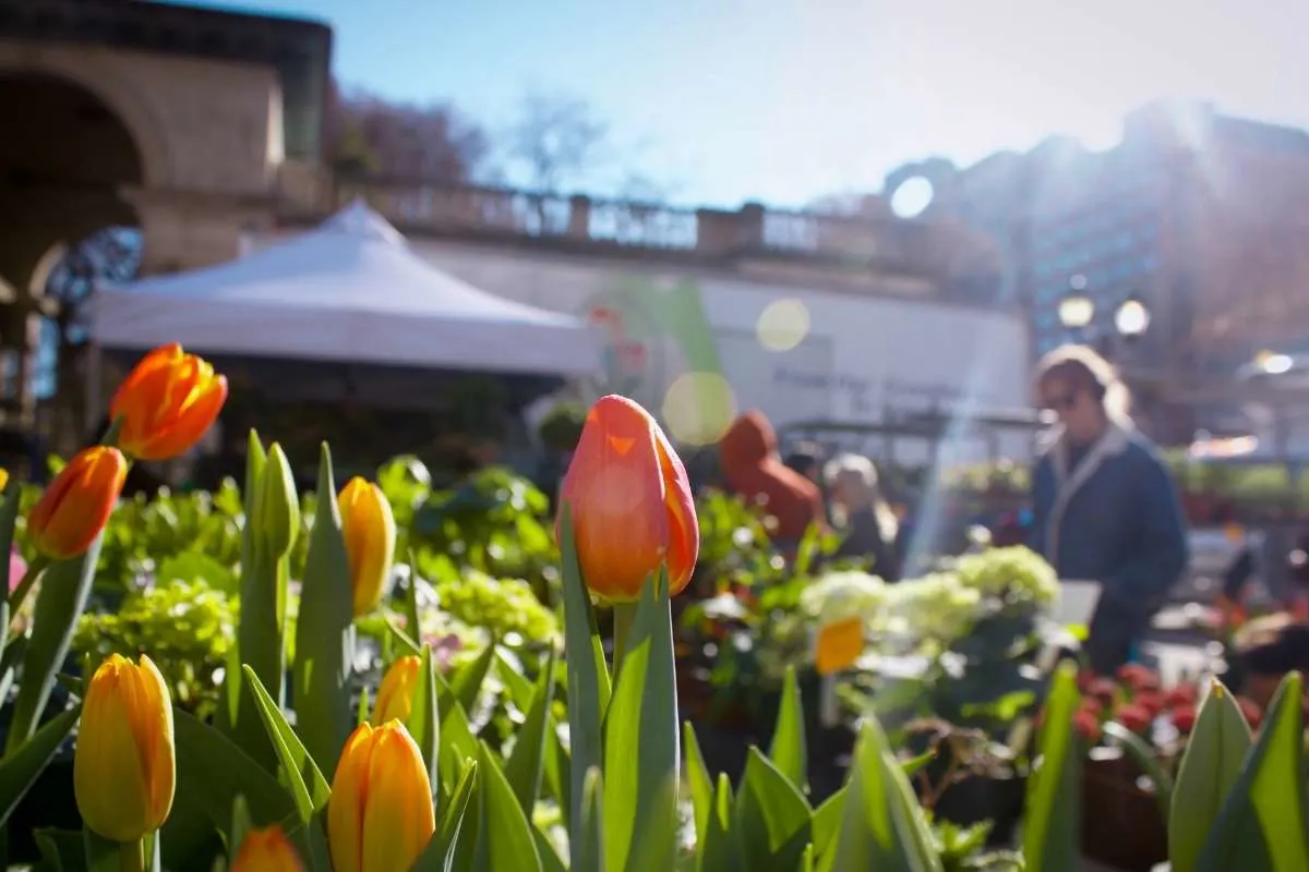 flowers and baked goods for sale at farmers market