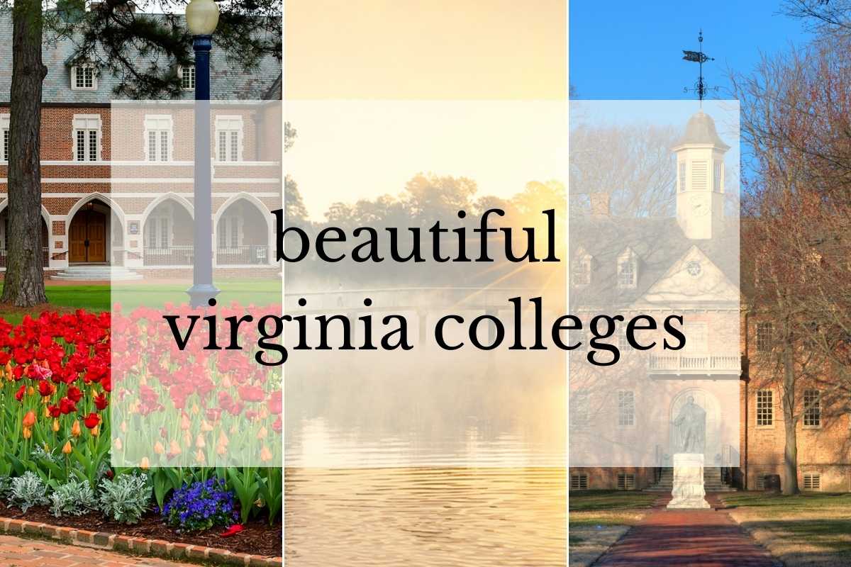 grid of 3 images: brick building with tulips in front, lake in the morning, and statue of William of orange