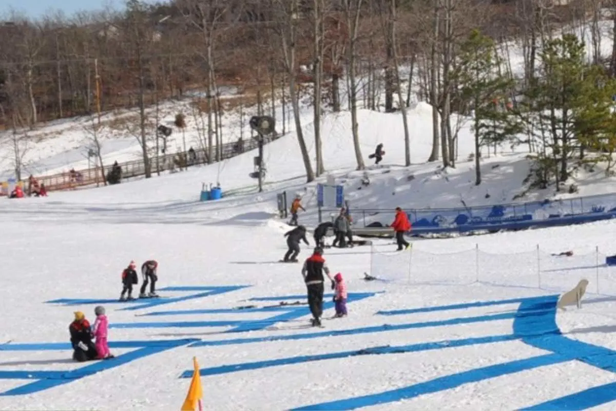 snowy hill with groups of children learning to ski