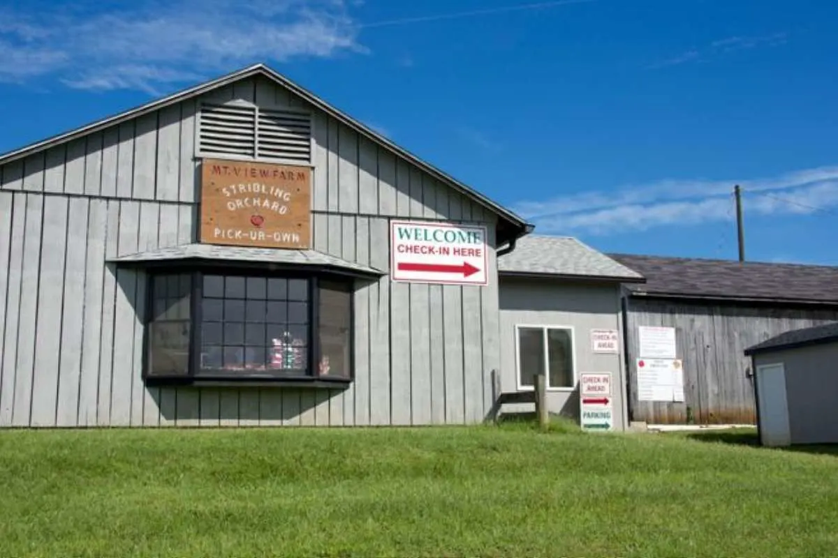 large gray barn for apple orchard check-in