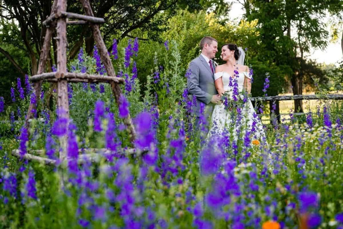 field of purple flowers with bride and groom in background