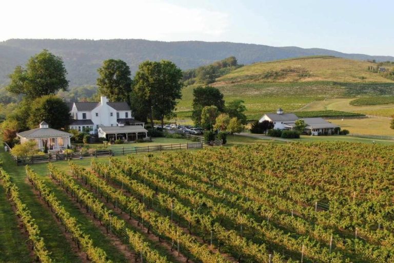 A vineyard with rows of grapevines, a white farmhouse, outbuildings, and parked cars set against rolling hills and trees—quintessential scenery for wineries near Charlottesville.