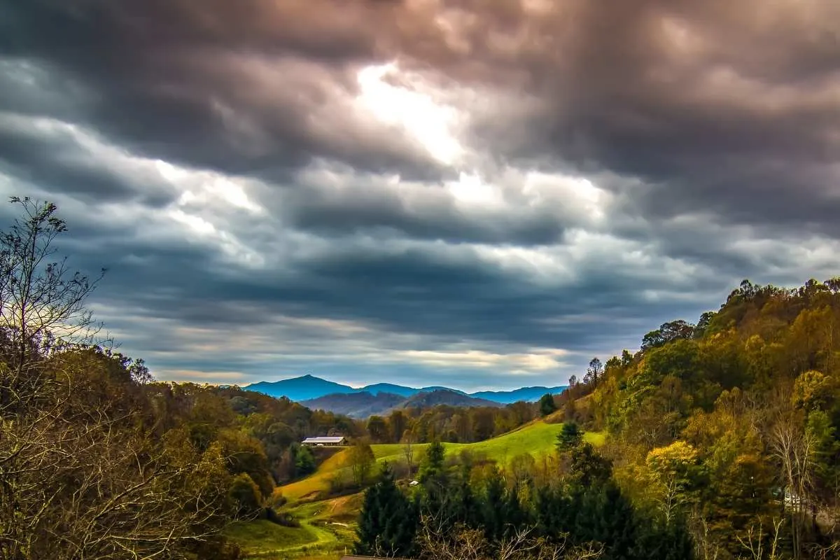 view of blue ridge mountains in woods