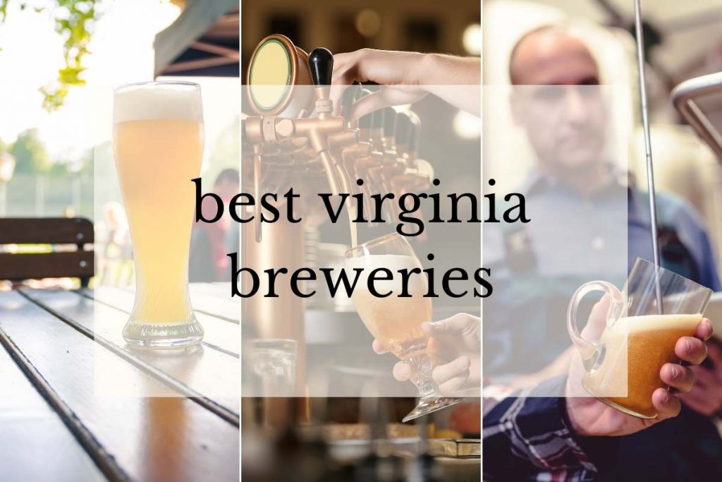 The 15 Best Breweries in Virginia (An Craft Beer Destination)