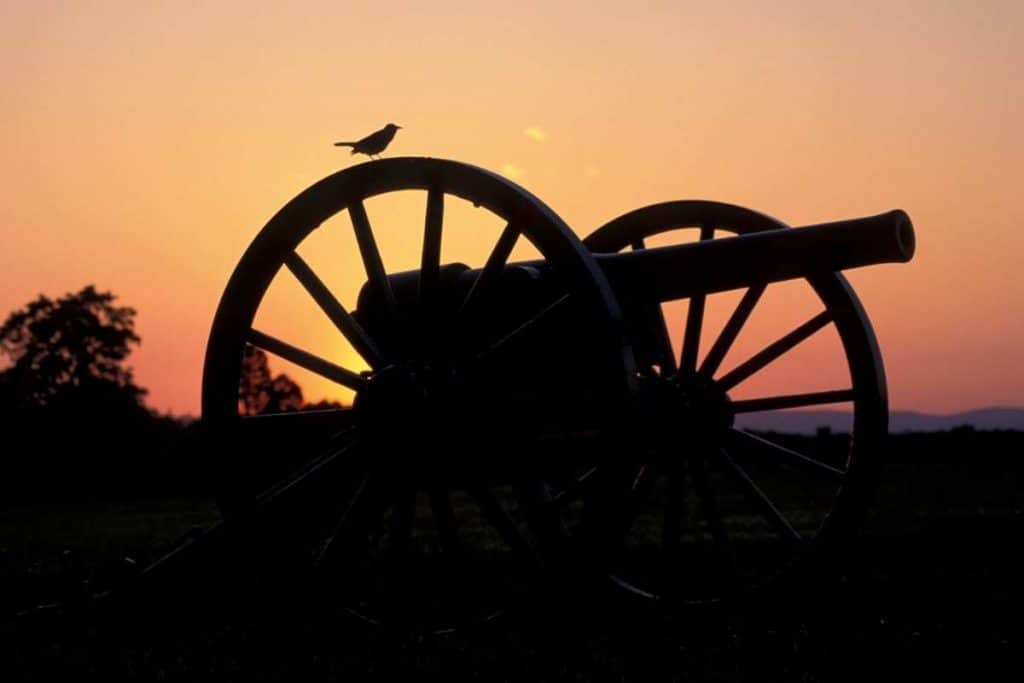 bird on cannon at sunset