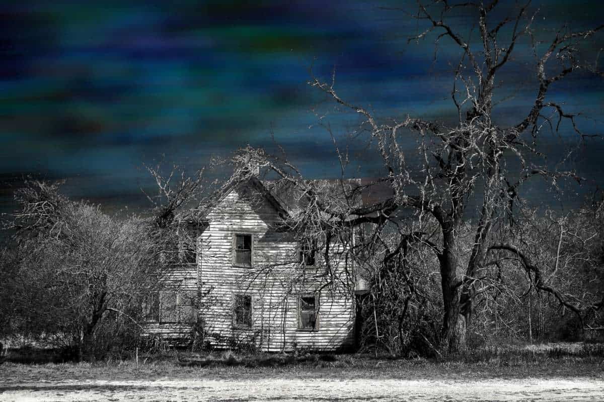 abandoned white house with dead tree in front