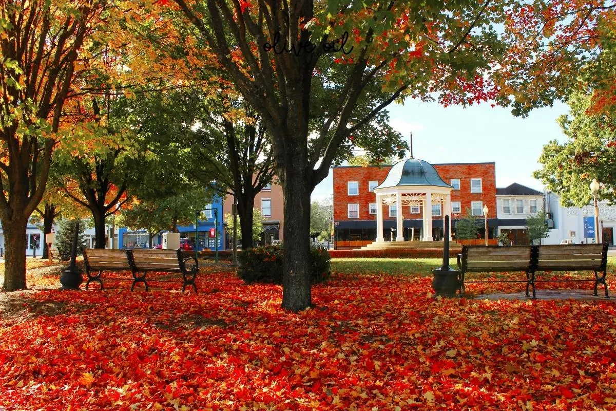historic brick building with large tree in fall