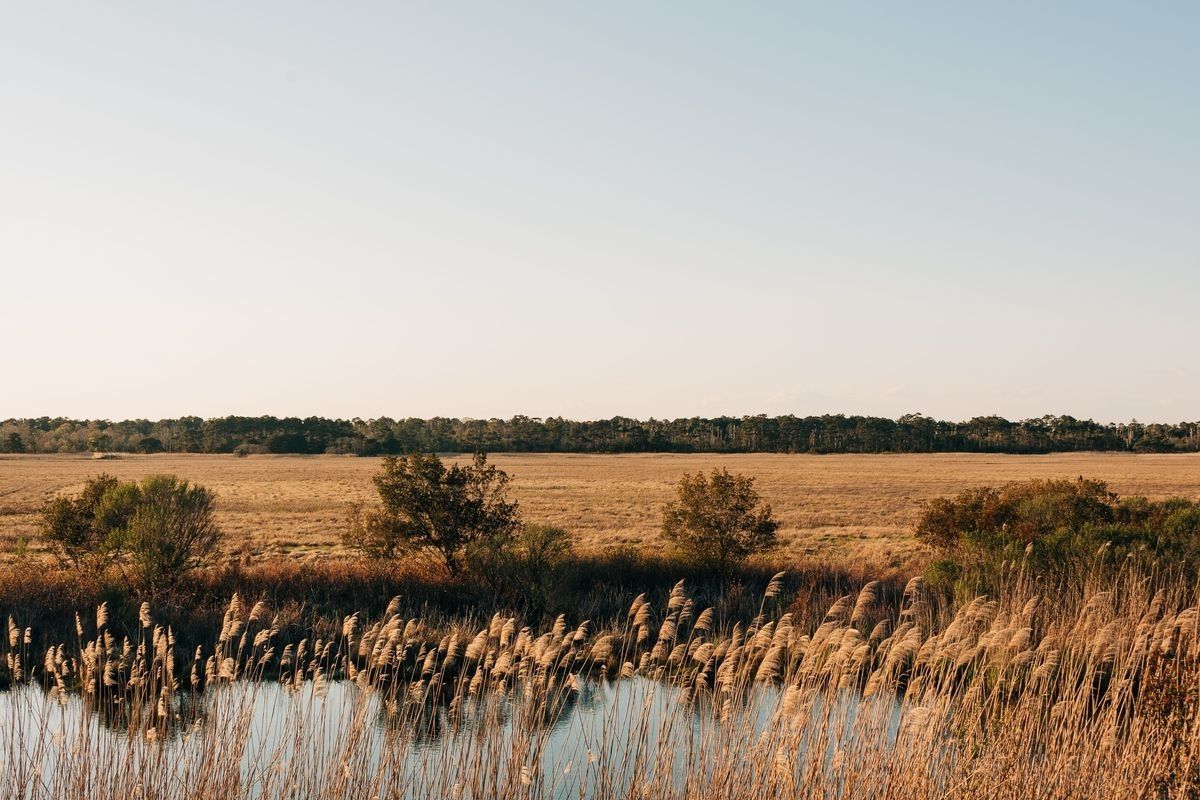 10 Best Things to Do in Kilmarnock, Virginia (A Northern Neck Hidden Gem) Historic Virginia Travel