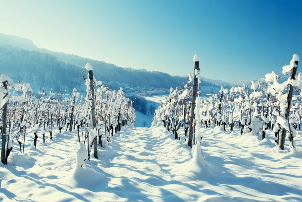 Winter Hikes in Virginia