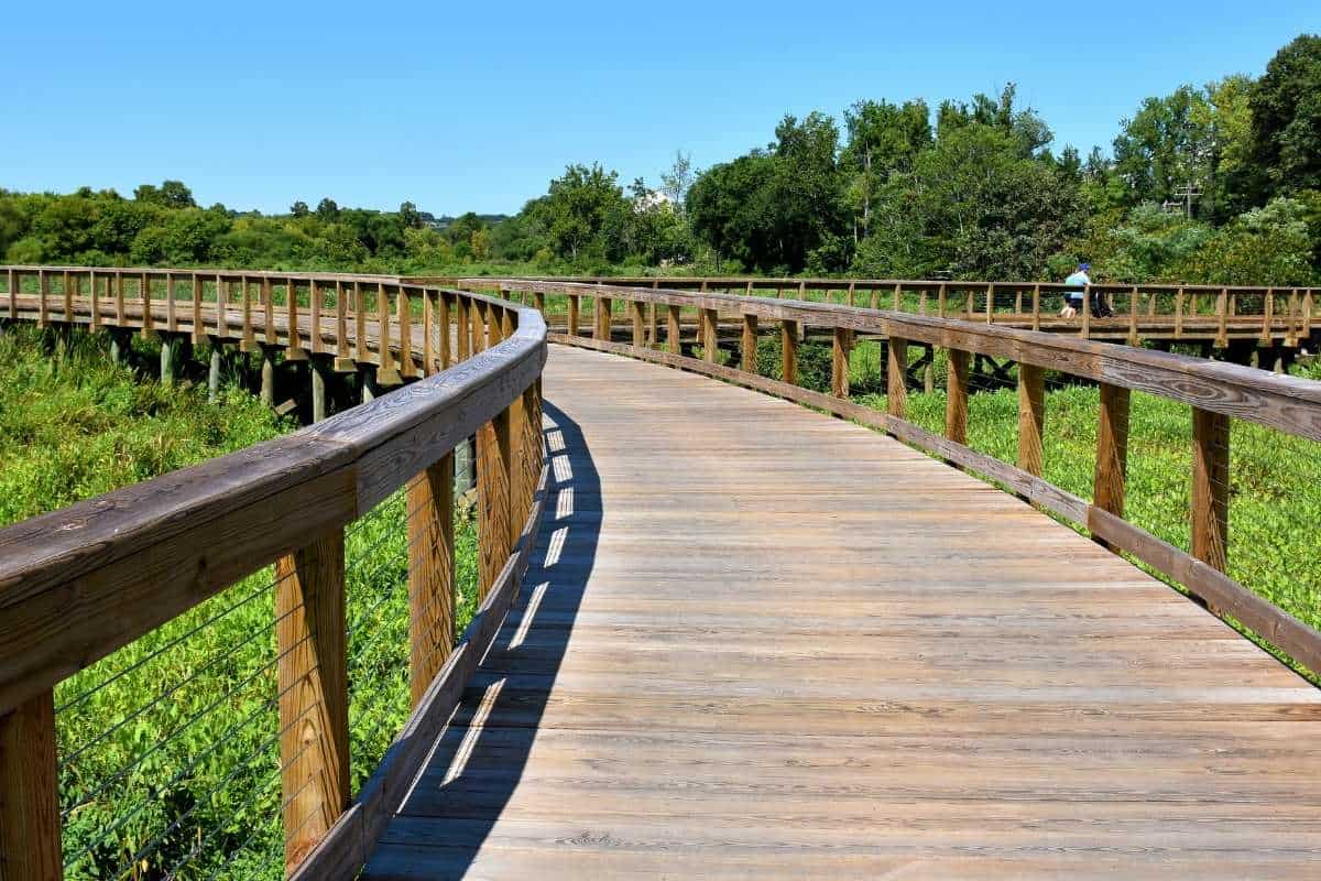 wooden bridge over wetlands