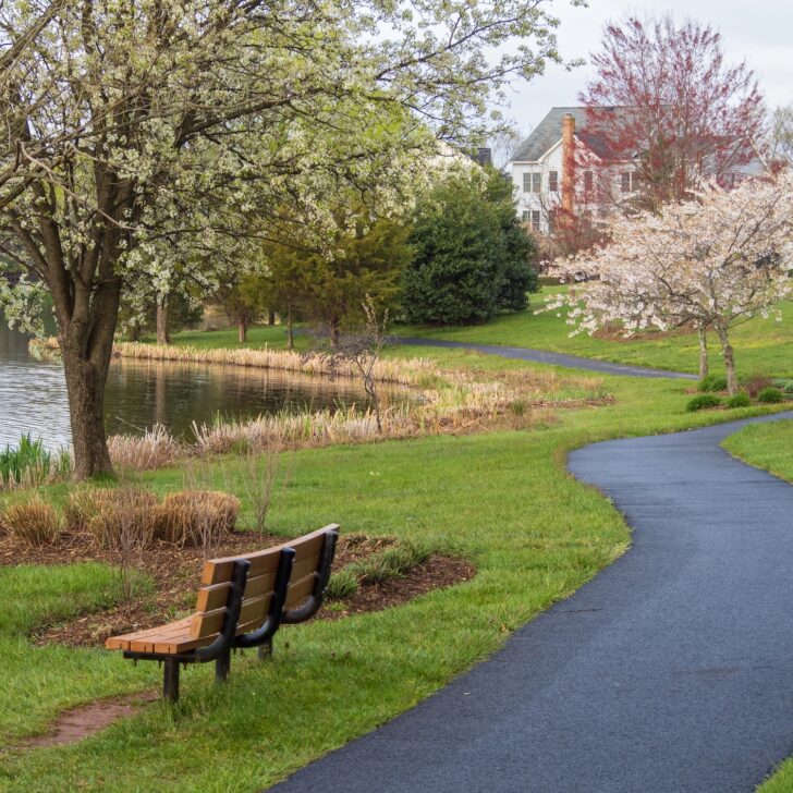 A curved paved path winds past a wooden bench and blooming trees beside a pond, with houses visible in the background.
