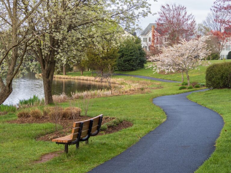 A curved paved path winds past a wooden bench and blooming trees beside a pond, with houses visible in the background.