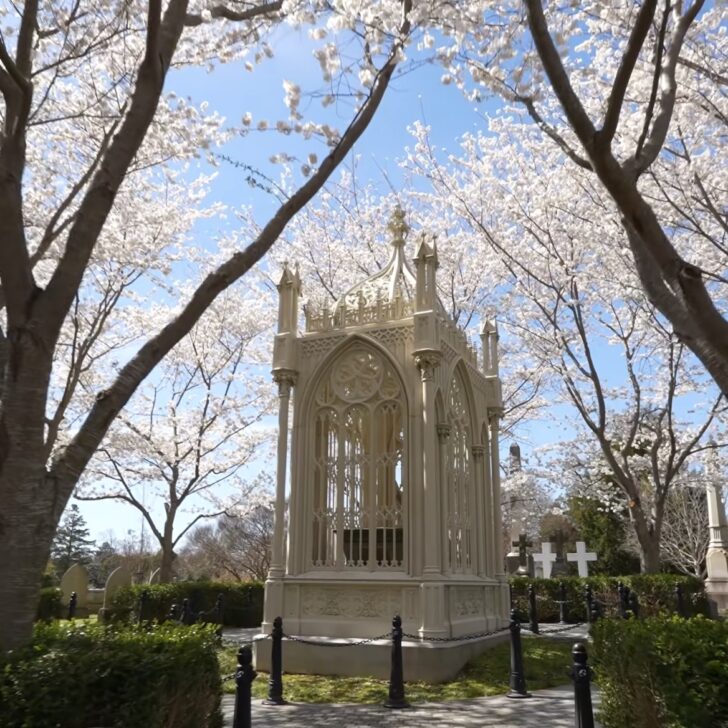 A white Gothic-style mausoleum stands among blooming cherry blossom trees in a cemetery under a clear blue sky.