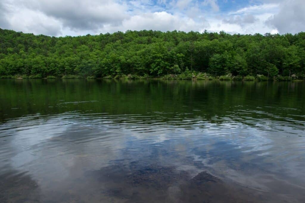 The 8 Best Swimming Lakes in Virginia Historic Virginia Travel