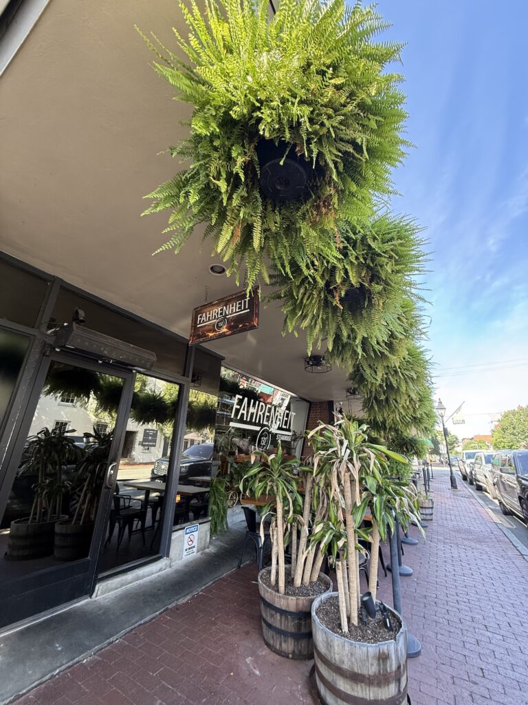 Restaurant entrance with large hanging ferns and potted plants along a brick sidewalk, glass windows, and a sign that reads &ldquo;FAHRENHEIT&rdquo;&mdash;one of the best restaurants in Fredericksburg.