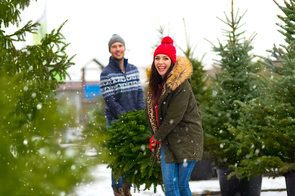 Christmas Tree Farm Couple Carrying Tree in tree farm while snowing