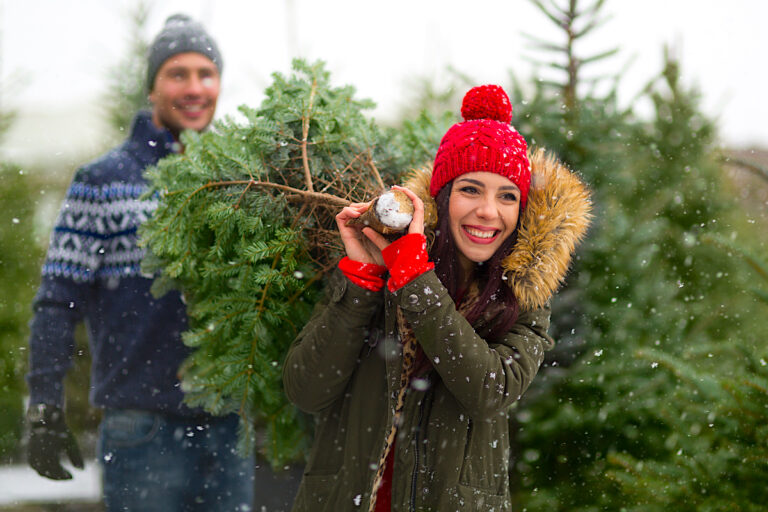 16 Best Christmas Tree Farms in Virginia 2023 Historic Virginia Travel