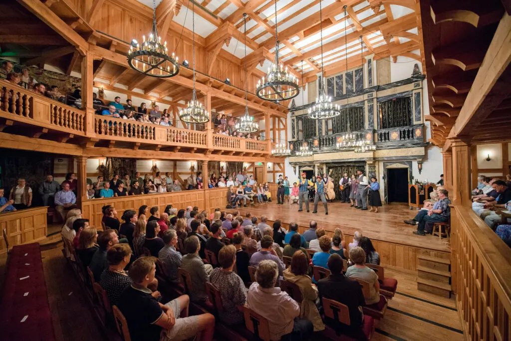 A large auditorium filled with people watching a performance.